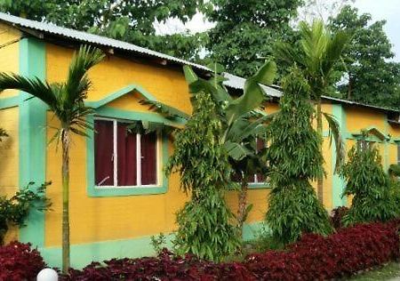 The Mystic Forest - A Tea Garden Resort At Dooars Madari Hat Eksteriør billede