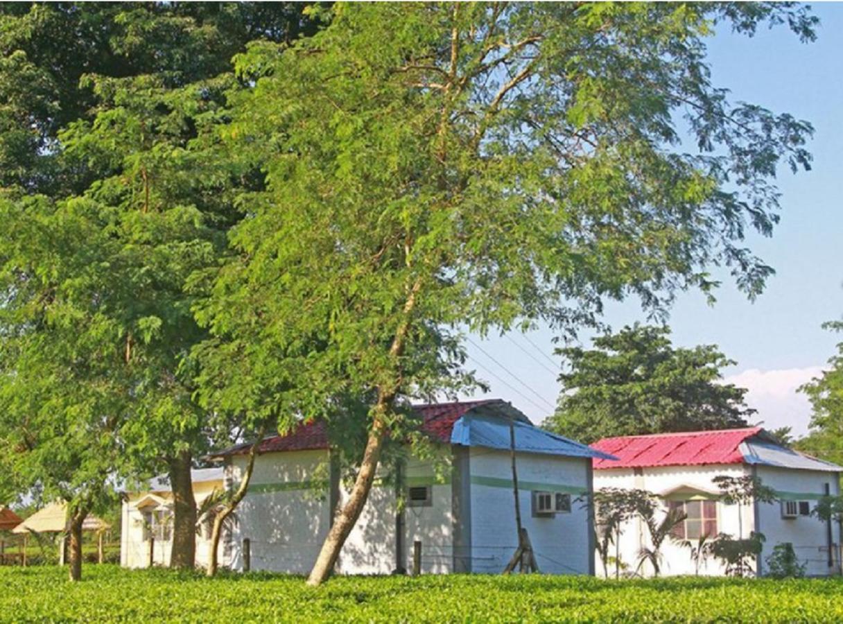 The Mystic Forest - A Tea Garden Resort At Dooars Madari Hat Eksteriør billede