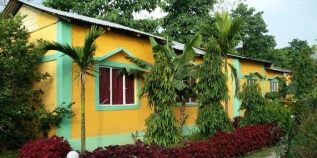 The Mystic Forest - A Tea Garden Resort At Dooars Madari Hat Eksteriør billede