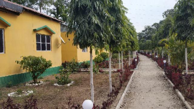 The Mystic Forest - A Tea Garden Resort At Dooars Madari Hat Eksteriør billede